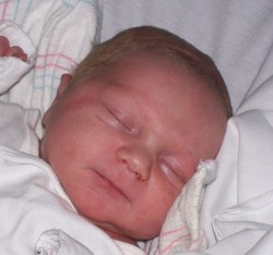 baby shelton